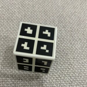Black and White Puzzle Cube